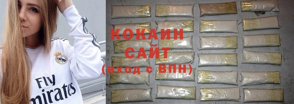 хмурый Ессентукская