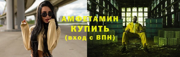 ГАЛЛЮЦИНОГЕННЫЕ ГРИБЫ Тавда