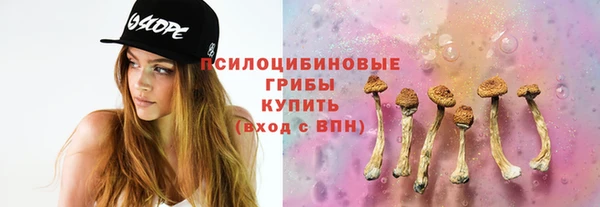 прущие грибы Цоци-Юрт