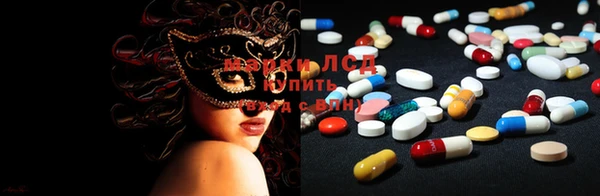 ГАЛЛЮЦИНОГЕННЫЕ ГРИБЫ Тавда