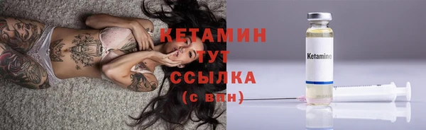 ГАЛЛЮЦИНОГЕННЫЕ ГРИБЫ Тавда
