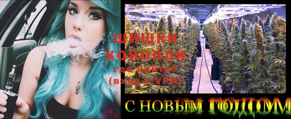 ГАЛЛЮЦИНОГЕННЫЕ ГРИБЫ Тавда