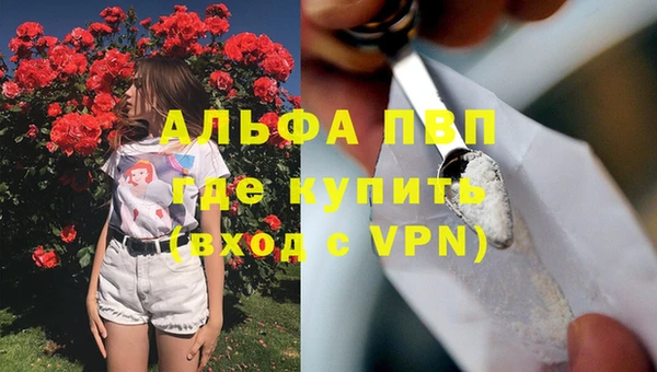 ГАЛЛЮЦИНОГЕННЫЕ ГРИБЫ Тавда