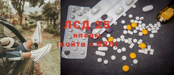 ГАЛЛЮЦИНОГЕННЫЕ ГРИБЫ Тавда