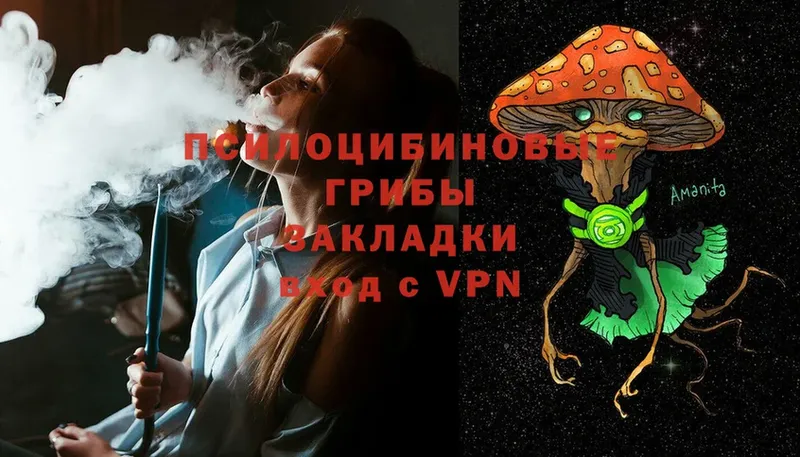 Псилоцибиновые грибы ЛСД  купить наркотики цена  Алапаевск 