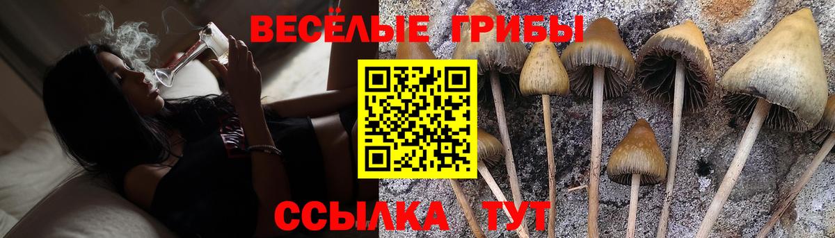 Псилоцибиновые грибы Magic Shrooms Алапаевск